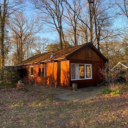 Basic Natuurhuisje Ommen/Beerze Exterior foto