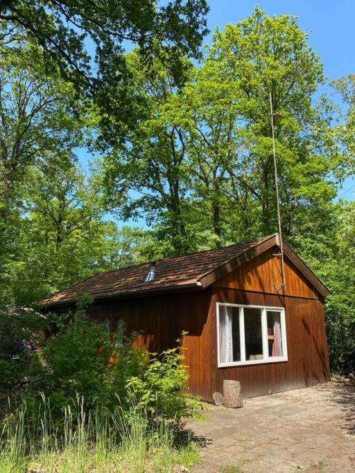 Basic Natuurhuisje Ommen/Beerze Exterior foto