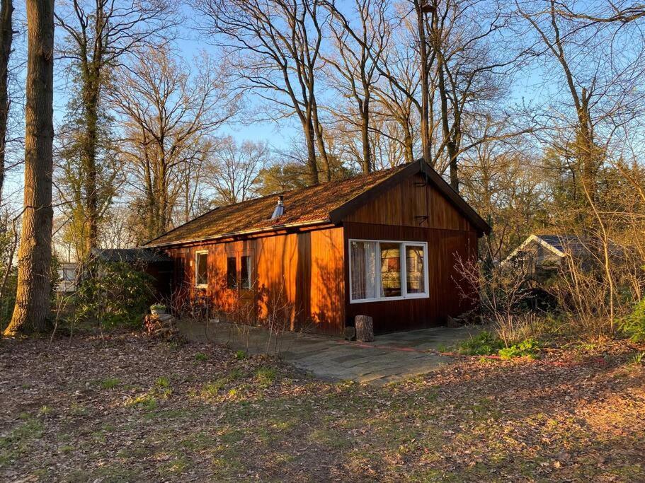 Basic Natuurhuisje Ommen/Beerze Exterior foto