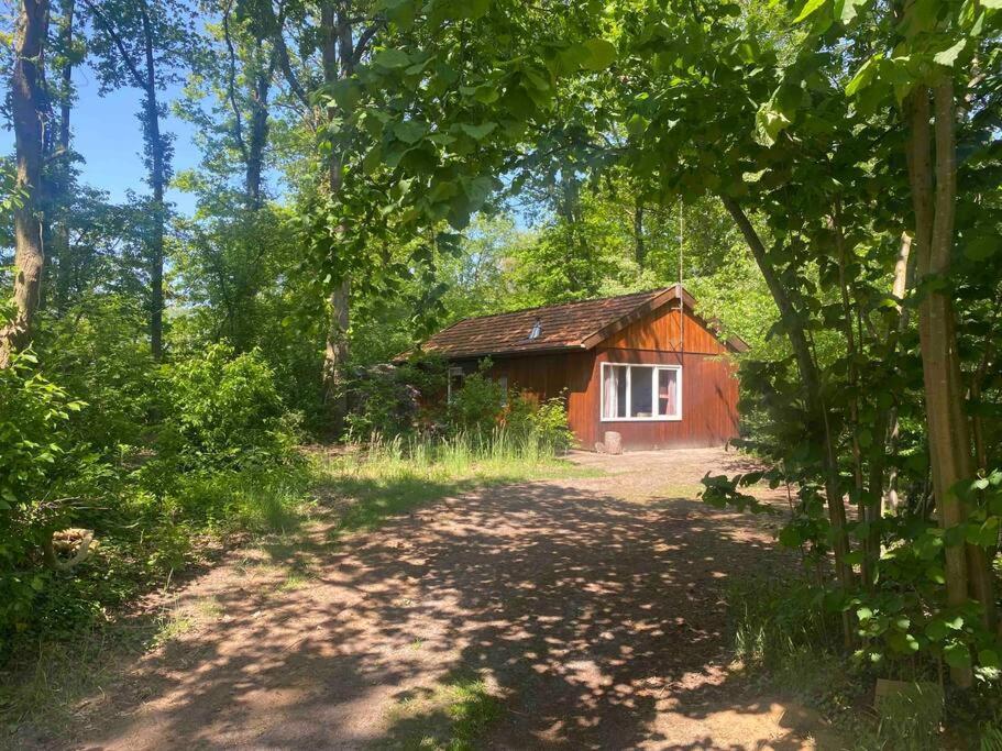 Basic Natuurhuisje Ommen/Beerze Exterior foto